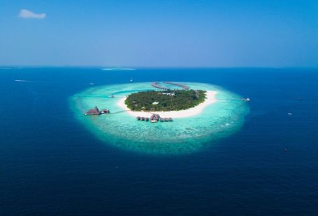 Private Island - island surrounded with water with trees