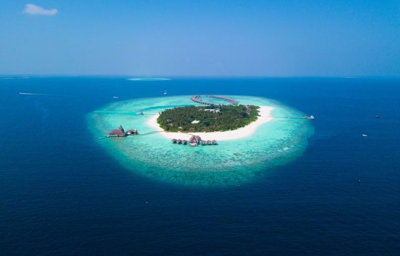 Private Island - island surrounded with water with trees