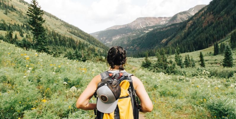 Travel Backpack - person carrying yellow and black backpack walking between green plants