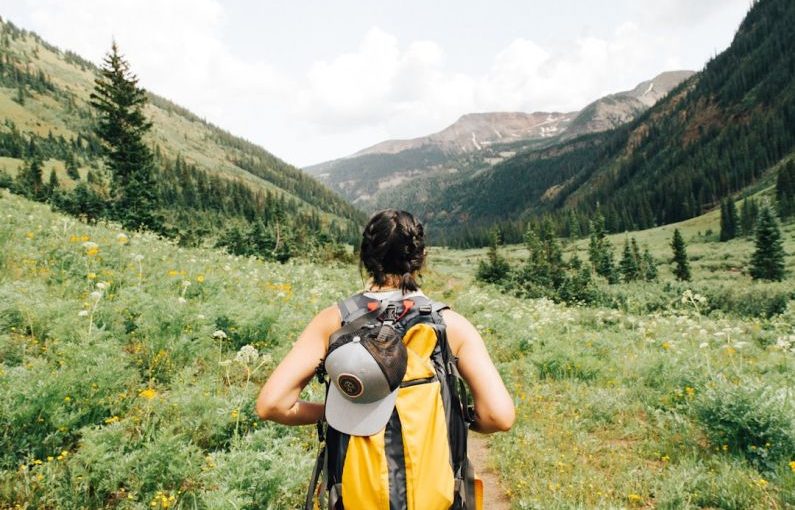 Travel Backpack - person carrying yellow and black backpack walking between green plants