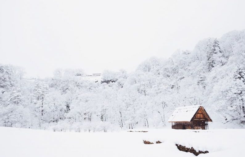 Japan Rural - snow-covered tree lot during daytime