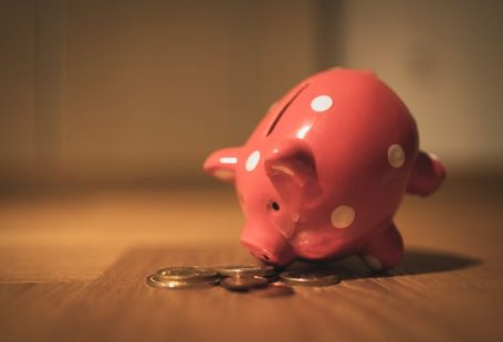 Piggy Bank - pink pig coin bank on brown wooden table