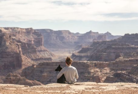 Pet Travel - person with dog sitting on Grand Canyon cliff