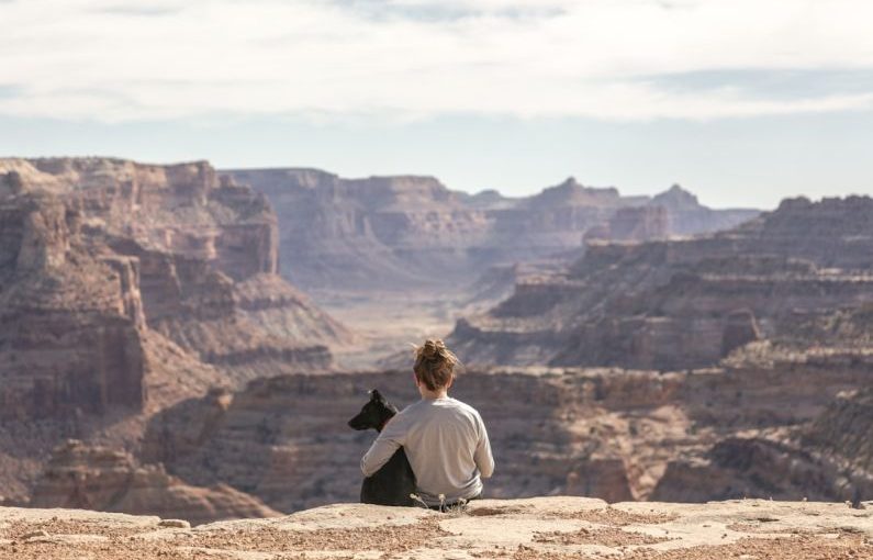 Pet Travel - person with dog sitting on Grand Canyon cliff