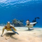 Scuba Diving - a sea turtle and person swimming next to each other