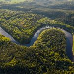 Amazon Rainforest - aerial view of green trees and river during daytime