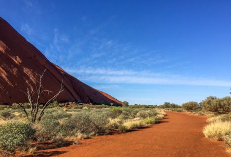 Australia Desert - brown sand near green grass under blue sky during daytime