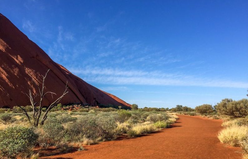 Australia Desert - brown sand near green grass under blue sky during daytime