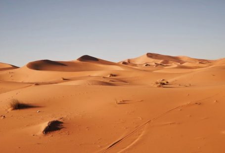 Sahara Desert - landscape photography of desert