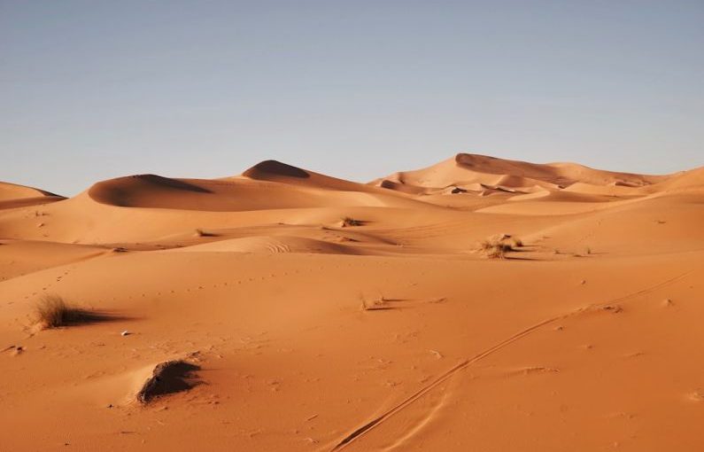 Sahara Desert - landscape photography of desert