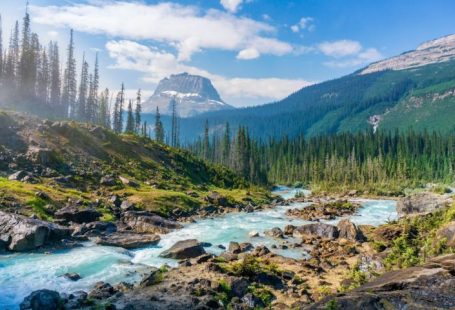 National Park - time-lapse photography of river