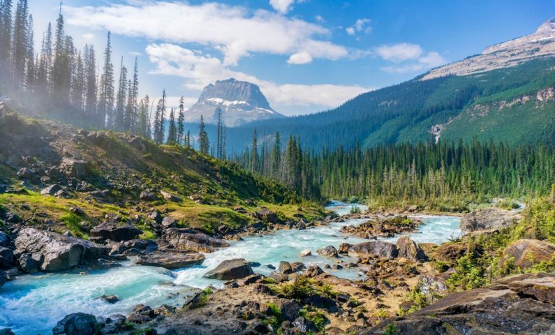 National Park - time-lapse photography of river