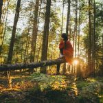 Eco Travel - woman sitting on gray tree log on forest under trees during sunrise