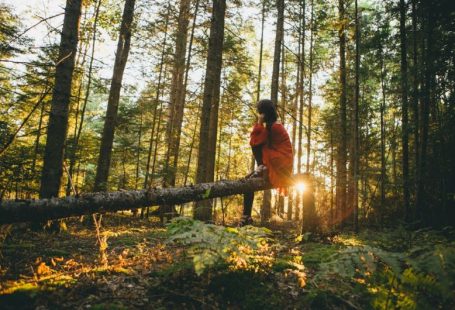 Eco Travel - woman sitting on gray tree log on forest under trees during sunrise