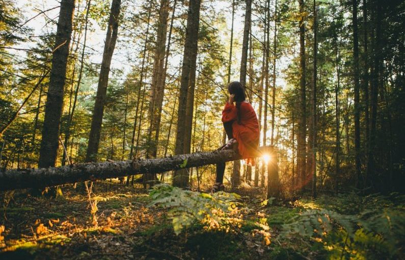 Eco Travel - woman sitting on gray tree log on forest under trees during sunrise