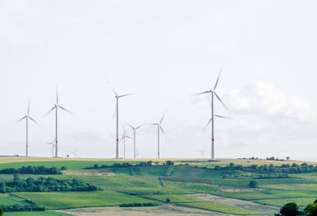 Environmental Volunteering - windmill surrounded by grass during daytime