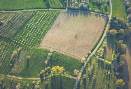 Eco Destination - bird's eye view of field