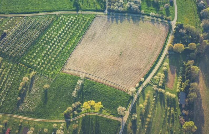 Eco Destination - bird's eye view of field