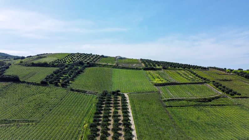 Agro Tourism - green grass field under blue sky during daytime