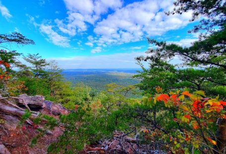 Travel Hacks - a scenic view of a valley and trees