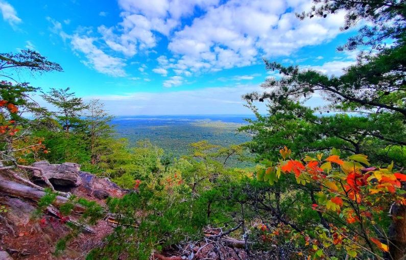 Travel Hacks - a scenic view of a valley and trees